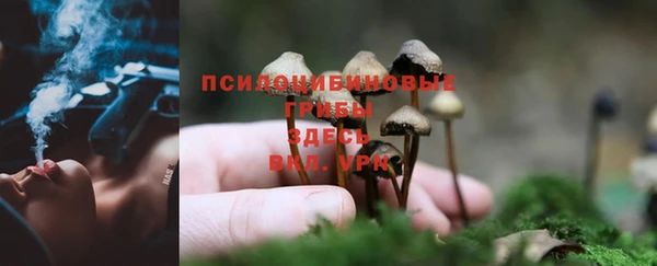 круглые Пересвет