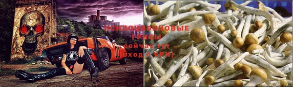 герыч Остров
