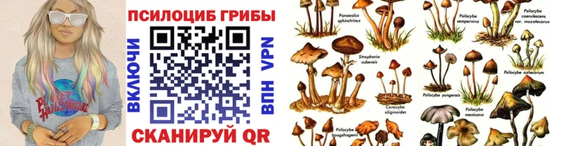 Галлюциногенные грибы мухоморы  дарнет шоп  Сосновка 